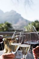 Brindis con copas de champan en una cata de vinos de comercial williams